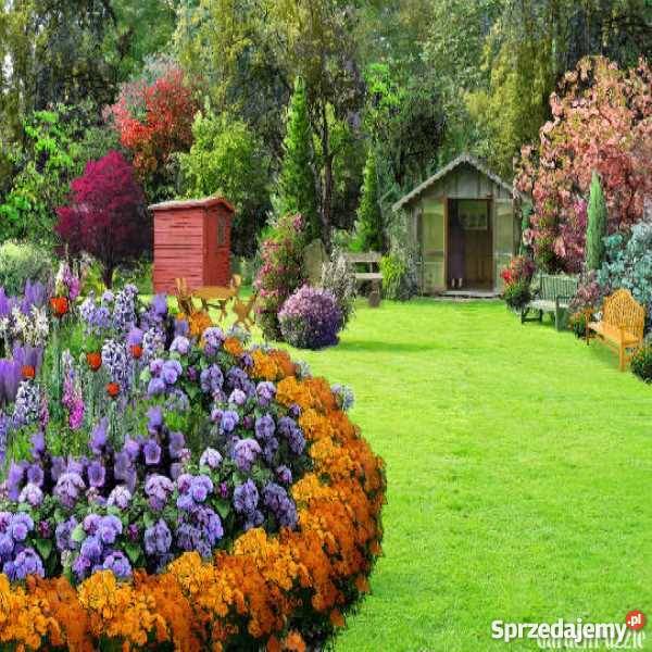 Ziemia ogrodowa humusowa trawę Tarnów sprzedam