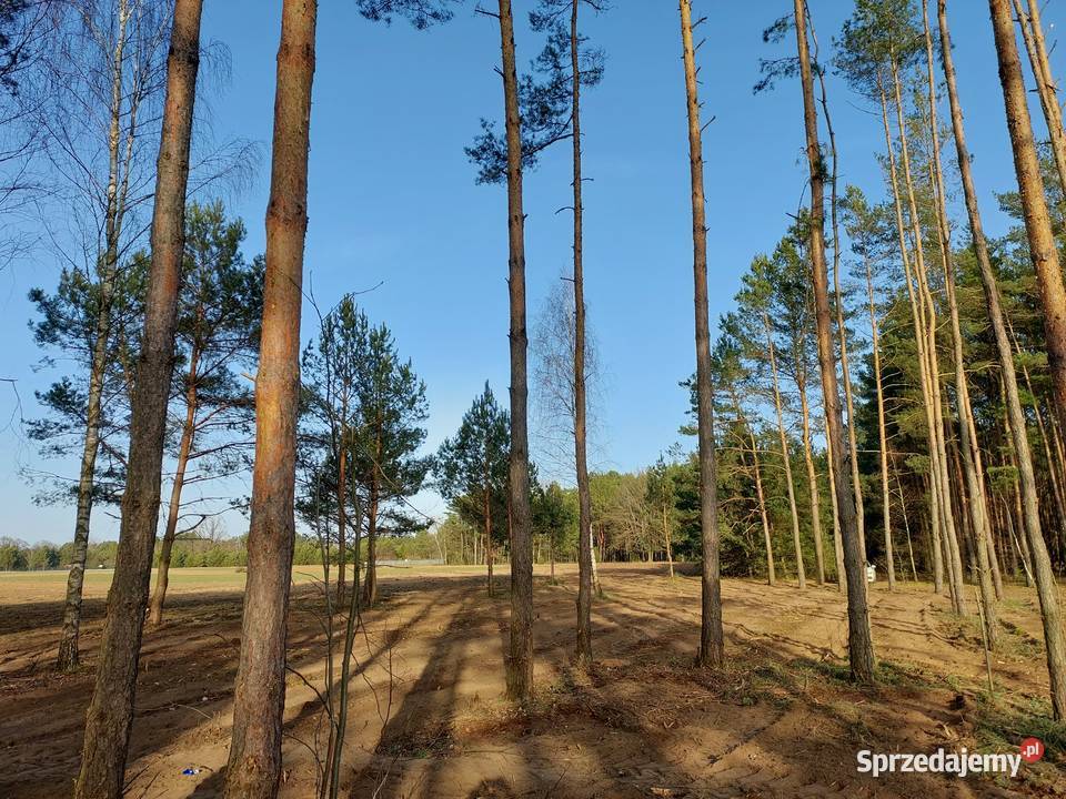 Rogóźno 1261m2 piękna działka rzeki i lasu 56m