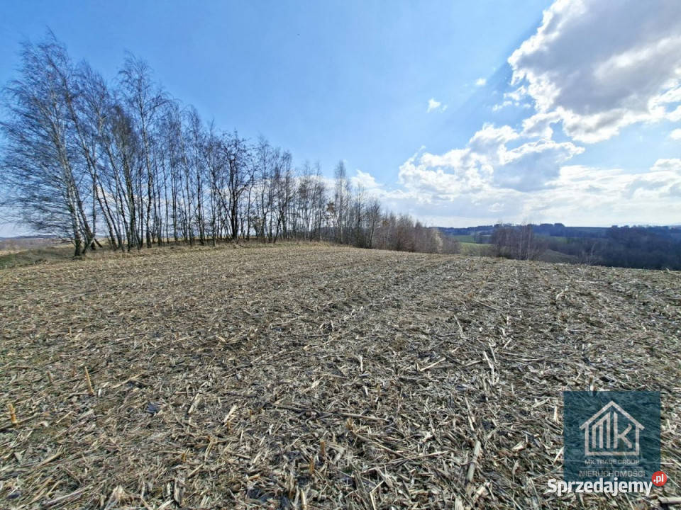 Działka 8100 metrów Bodzanów 330m małopolskie