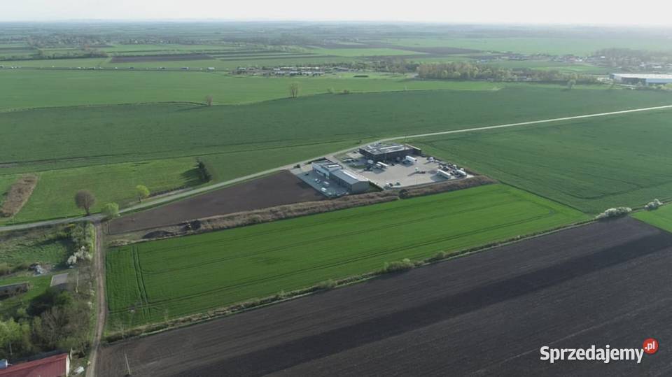 Działka 6000 m2 Milejowice Krajków Żórawina obok