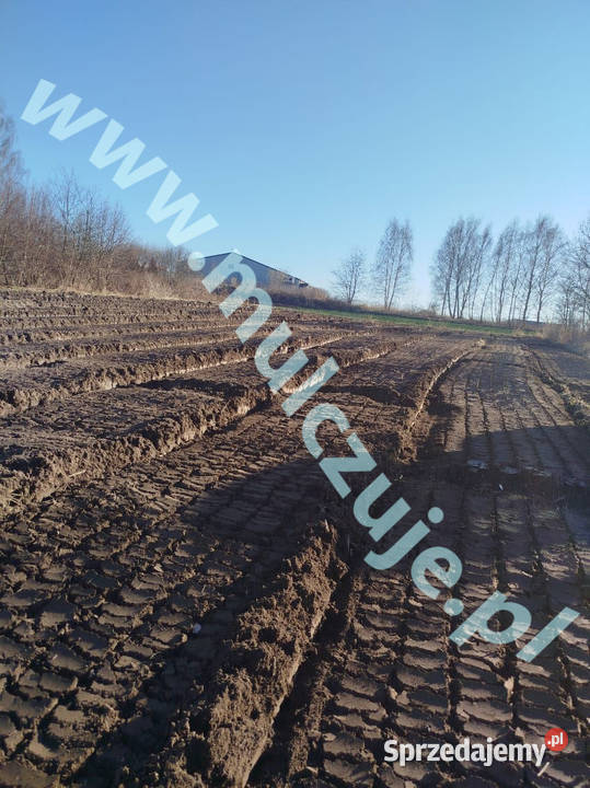 Wycinka drzew Karczowanie rekultywacja działek Karczowanie i usuwanie drzew Kraków