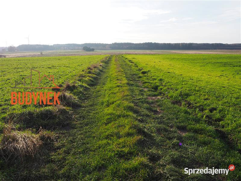 Działka rolna Krupy zachodniopomorskie