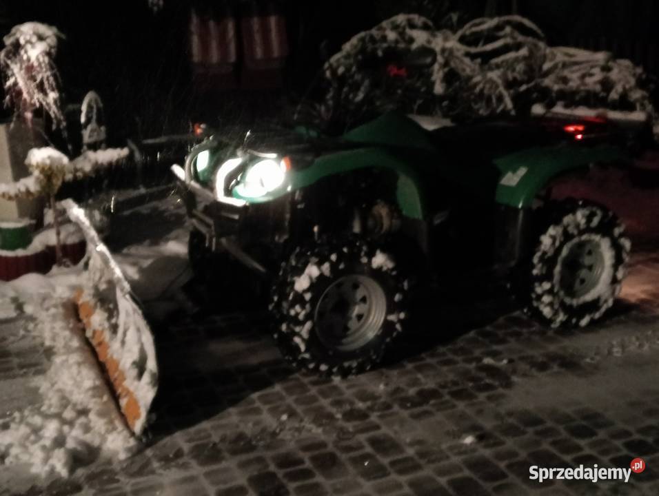 Sprzedam quada 650 2 cylindry przyczepka i spych quad - ATV Bełchatów