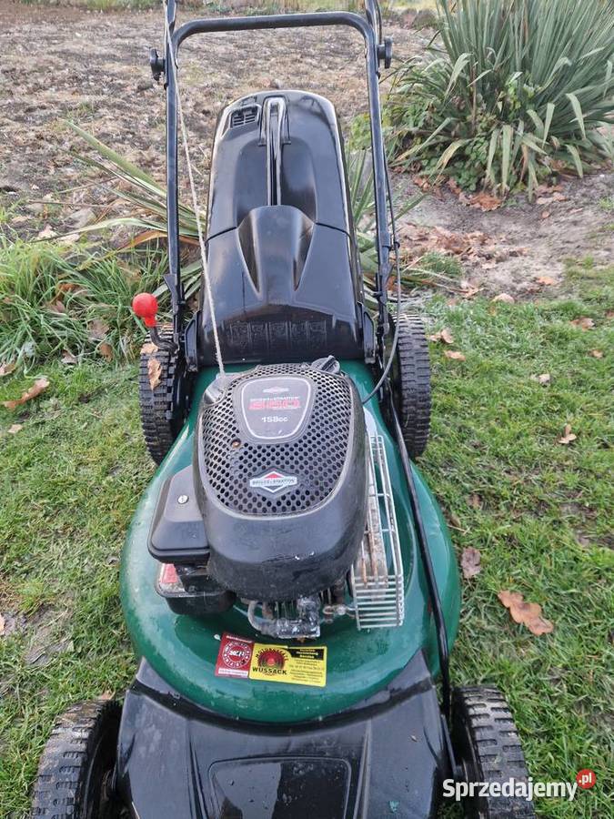 Kosiarki spalinowe piły kosiarki kosy nożyce Żagań