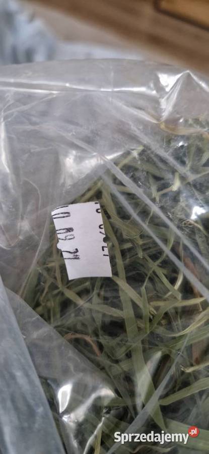 Szamu Szamu Siano Tymotkowe z suszarni 1 małopolskie Kraków