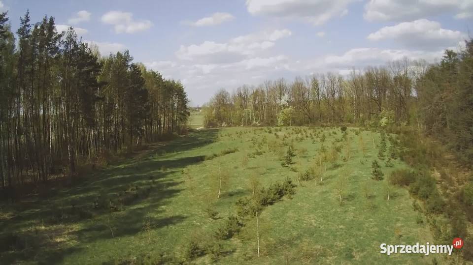 Działka budowlana 1000M2 WZ BRZÓZA budowlana mazowieckie Brzóza