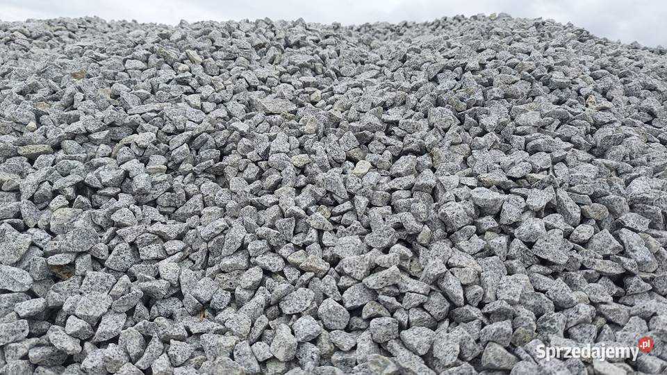 Grys granitowy ozdobny 816 1622 Dalmatyńczyk Sól Miłosław