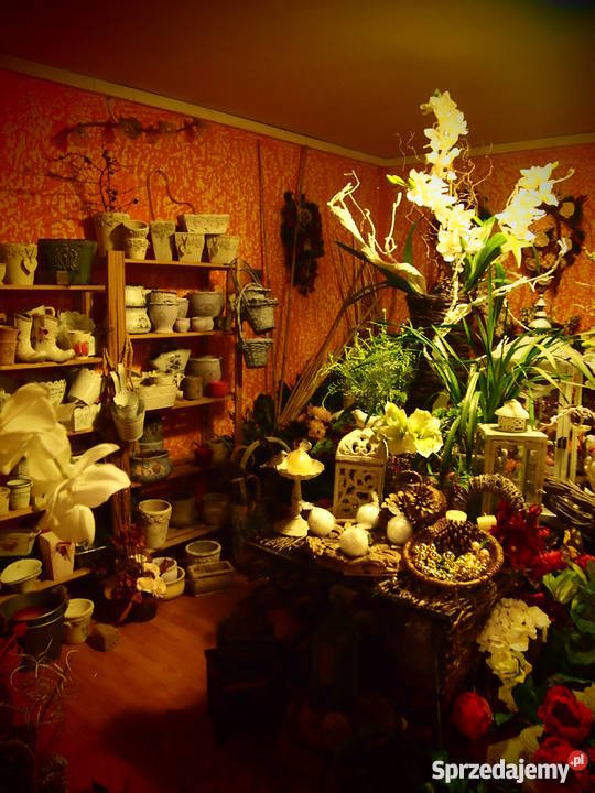 Sprzedam asortyment kwiaciarni Olsztyn