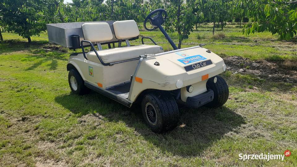Club car Melex golf Obrazów