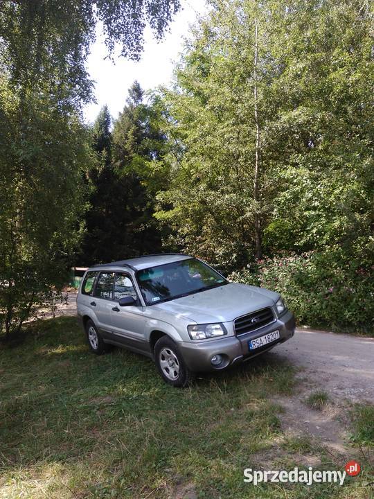 Subaruu Forester gaz, bez rdzy Sanok Sprzedajemy.pl