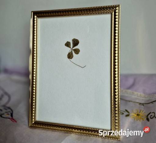 Koniczyna czterolistna ślubny prezent prezent Pozostałe Galanteria i dodatki