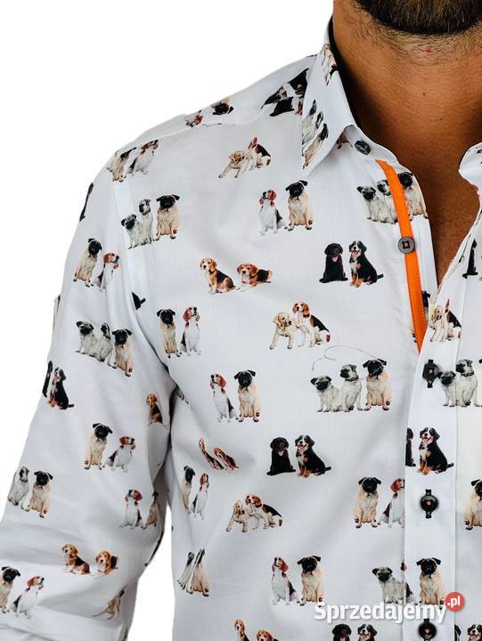 DANIEL BESSI Koszula męska fb128 biała pieski Ostrów Wielkopolski