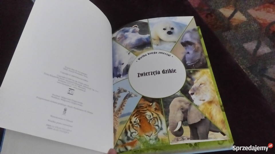 Wielka księga zwierząt Dzikie domowe i leśne Książki dla dzieci