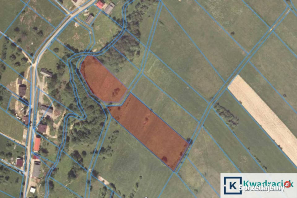 Grunt Hołuczków 11100m2 podkarpackie sprzedam