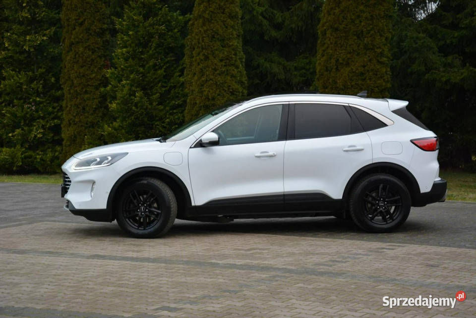 Ford Kuga 25PHEV225 FV23 RadarACC Navi Ledy mazowieckie