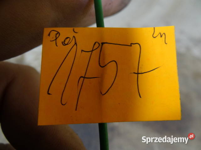 bezpiecznik kierunkowskazów MZ simson org DDR Żary sprzedam