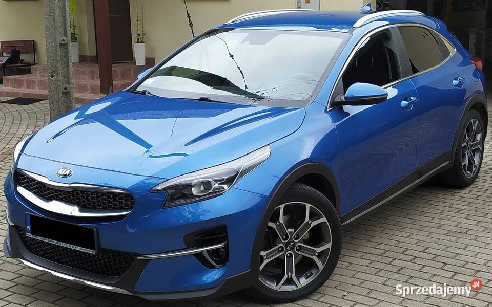 Kia XCeed 15 TGDI L Business Line XCeed Brzeszcze sprzedam