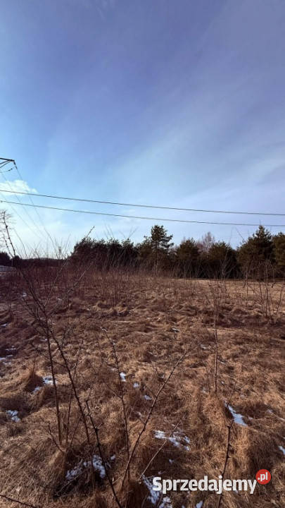 Działka budowlana RosochaKolonia budowlana Rosocha-Kolonia