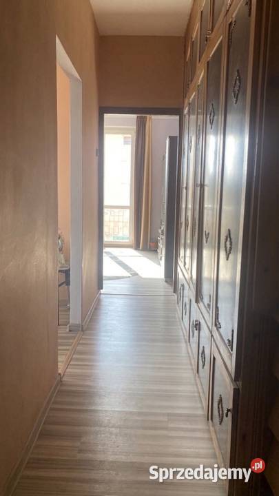 MIESZKANIE DO WYNAJĘCIA 2 pokoje 4937 m2 dolnośląskie Dzierżoniów sprzedam