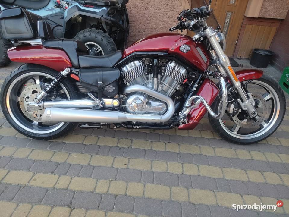 Harley Davidson V ROD MUSCLE perła