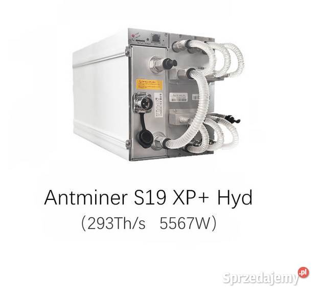 Bitmain Antminer S19 XP Hyd 293Ths Warszawa