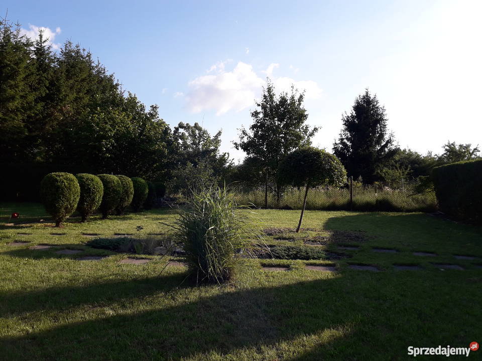 Dzialka rekreacyjna na sprzedaż Nieruchomości