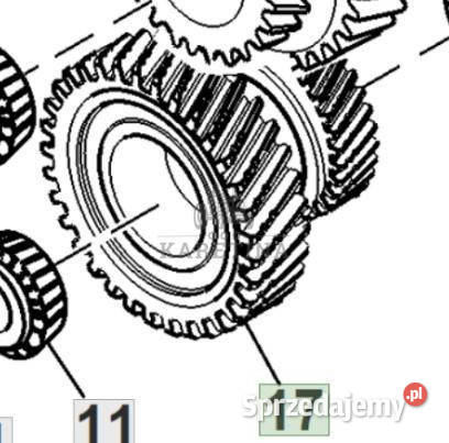 John Deere 6115R Koło Zębate Pośrednie L168383 Jastrzębniki