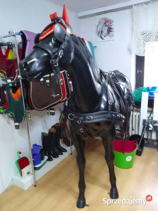 Uprząż biothan singiel cob pony shetty Pietrowice Wielkie sprzedam