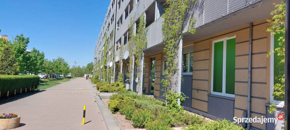3pok mieszkanie Wrocław Krzyki świetna 3 piętra i więcej Sprzedaż
