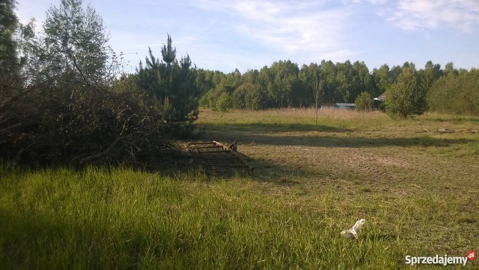 Działka budowlana 10000m2 1ha Wielki Wełcz koło Grunty i działki kujawsko-pomorskie Wielki Wełcz sprzedam