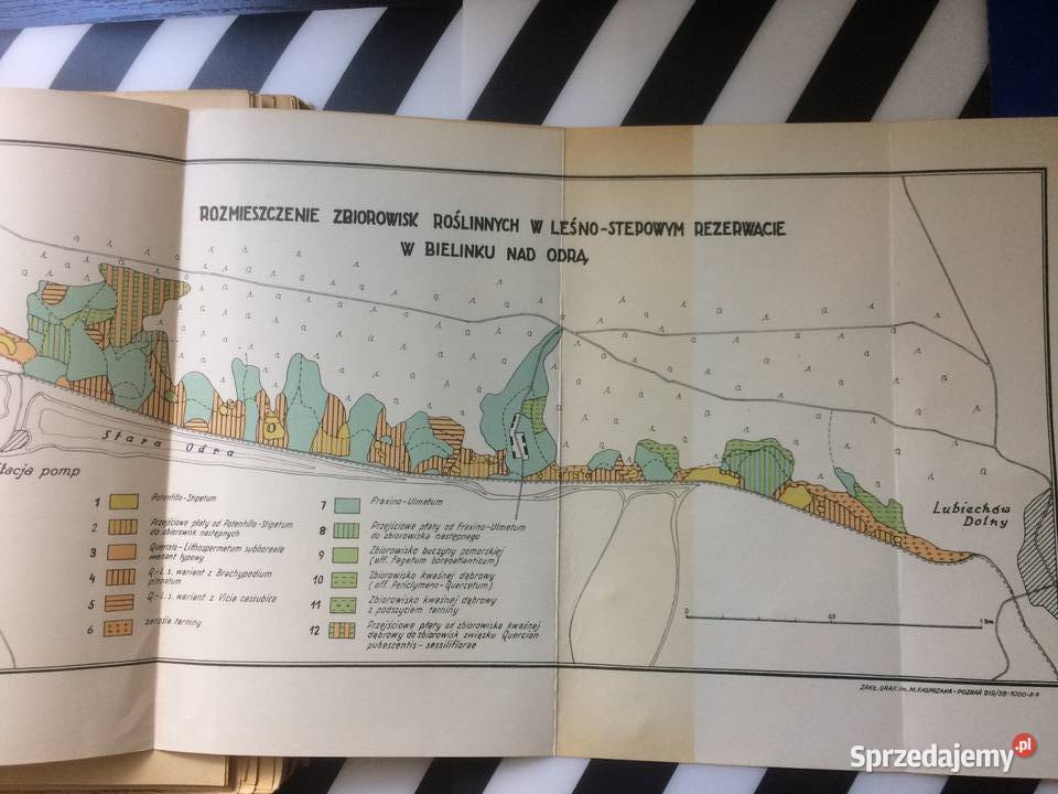 2701 Badania Fizjograficzne Polską Zachodnią Szczecin sprzedam