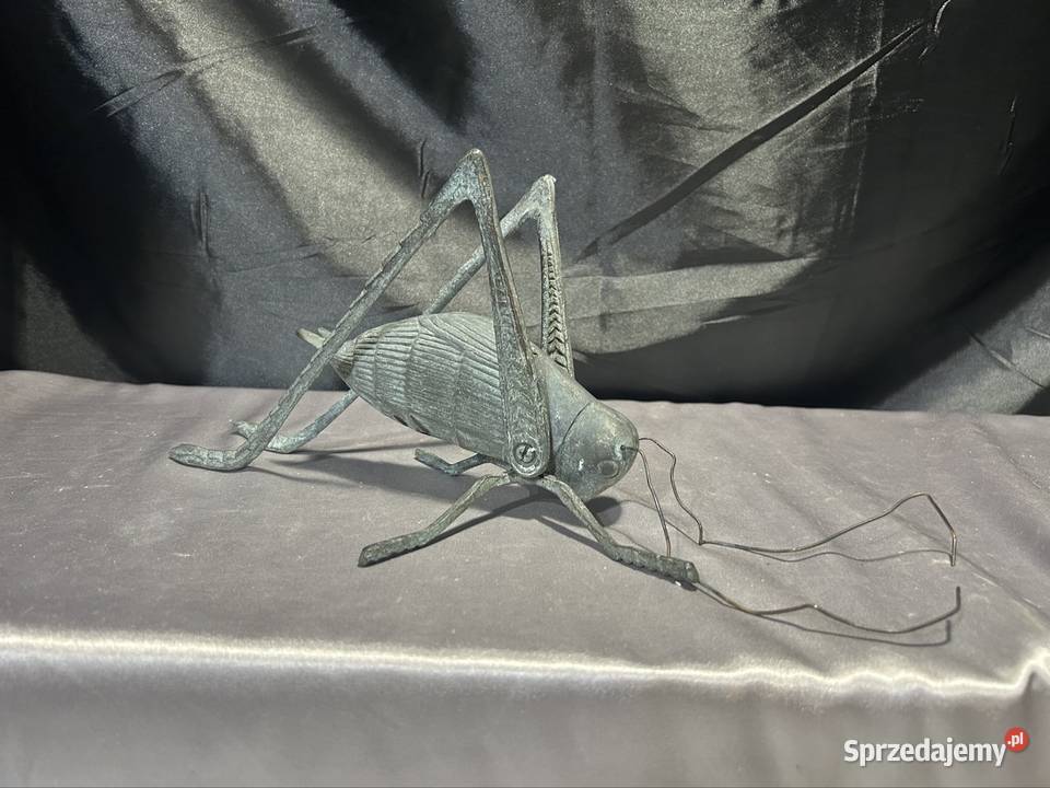 Konik polny Figurki i rzeźby Kozy sprzedam