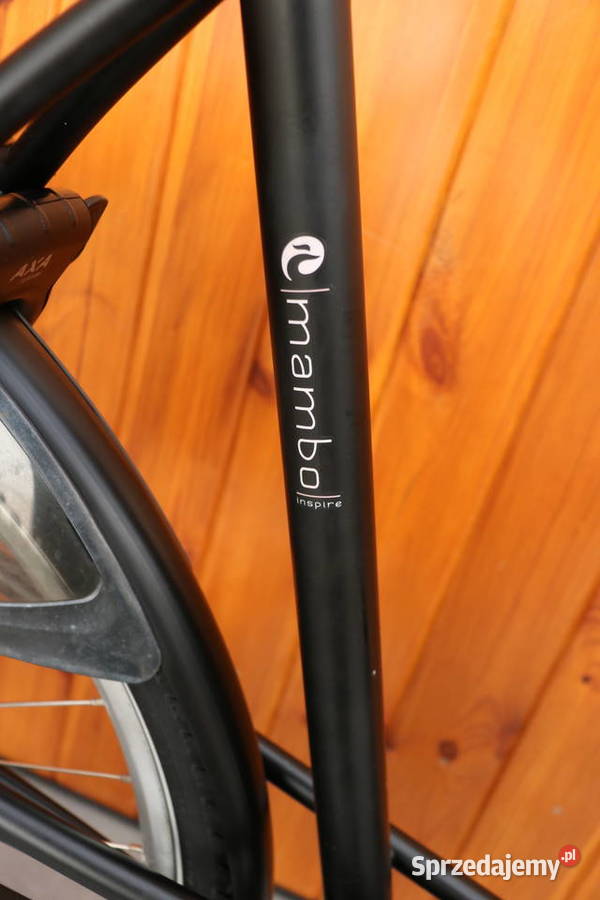 Rower damski Batavus Mambo D 65 RATY Sport i Wypoczynek Milanówek