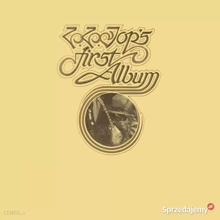 Dużo płyt cd dvd winyli Klasyka rocka i bluesa