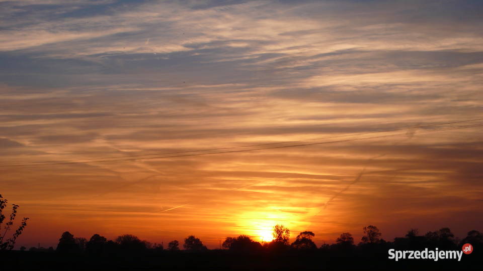 Piękna Widokowa Działka Bezpośrednio granicy Sprzedaż dolnośląskie Wrocław