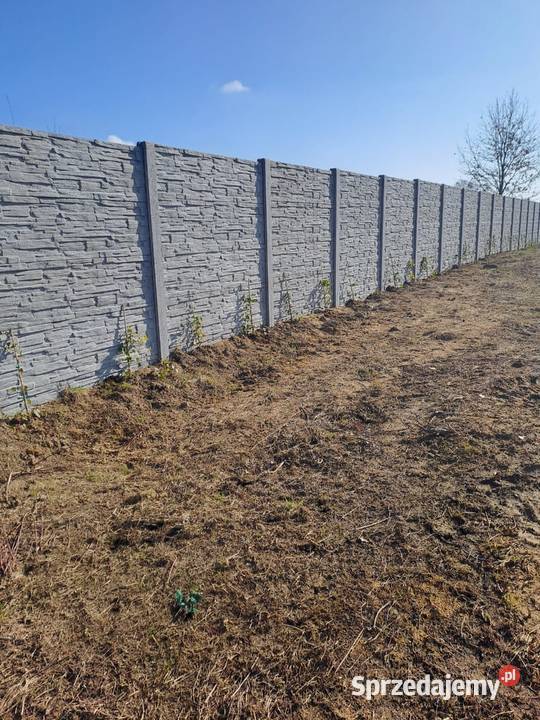 Ogrodzenia betonowe Nowoczene wzory Świdnica