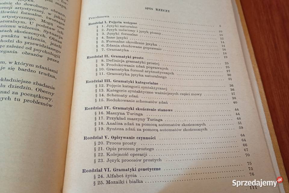 Gramatyka i matematyka Zdzisław Pawlak sprzedam