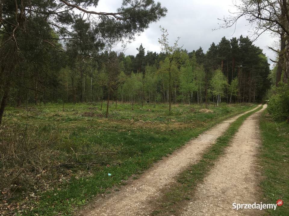 DZIAŁKI ROLNE NA SPRZEDAŻ gm GIDLE obręb łódzkie Zabrodzie