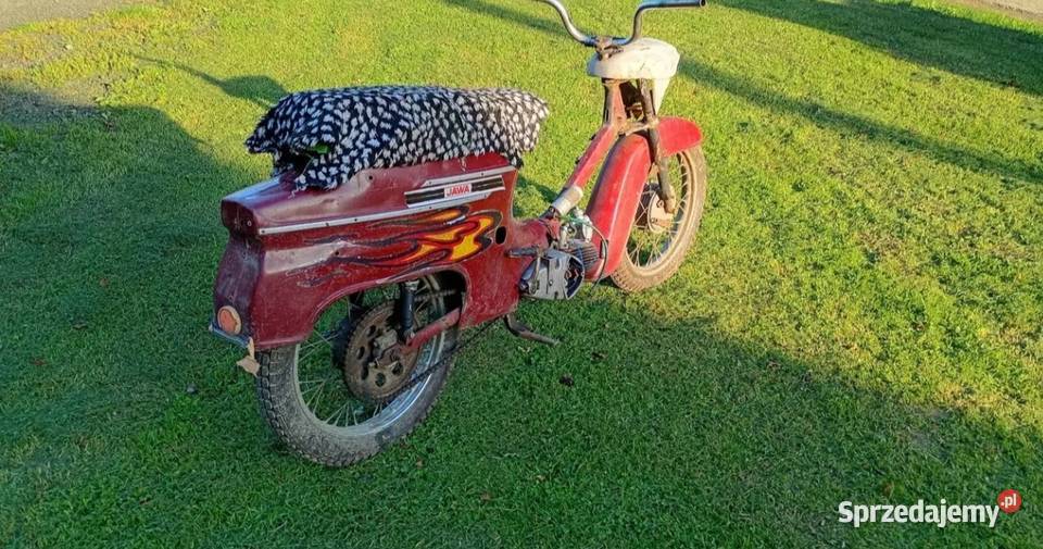 Java 50 kaczka Łańcut