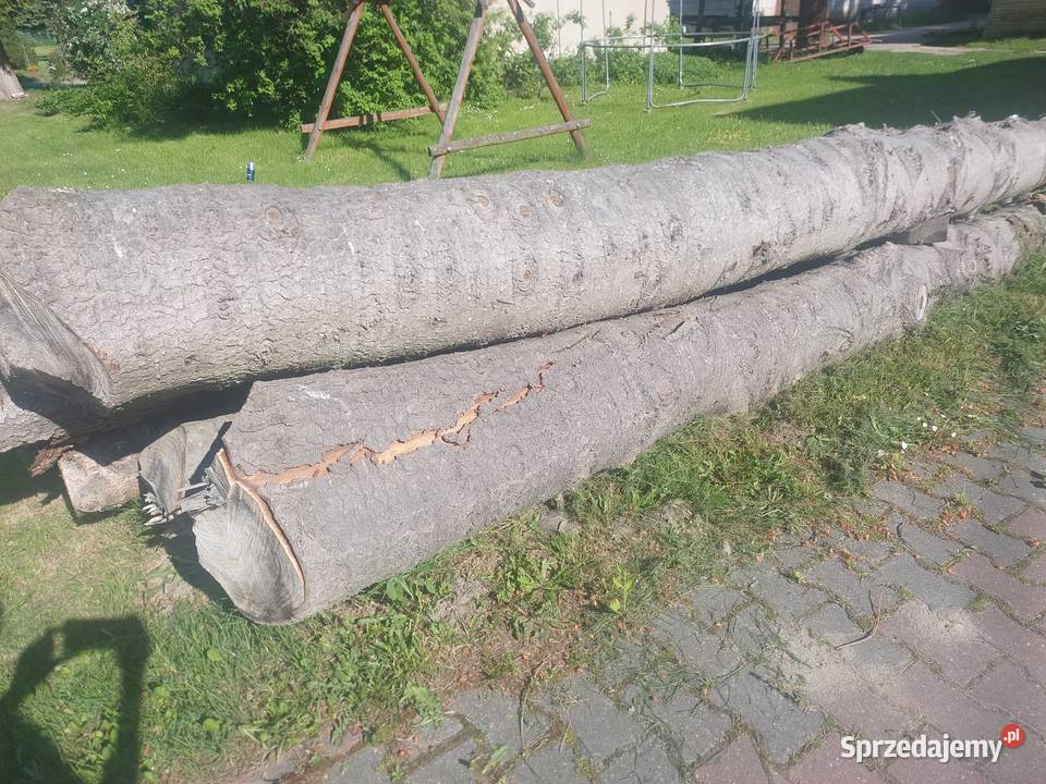 Drewno opałowe leszczyna świerk Ksawerówka