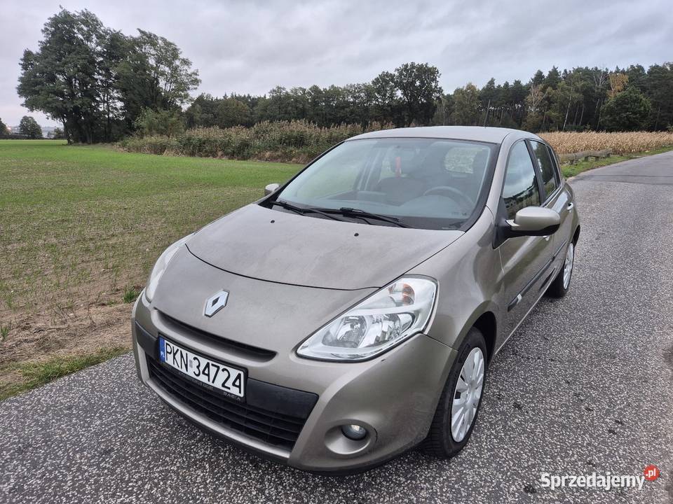 Renault Clio III salon bezwypadkowy 87 wielkopolskie Rychwał