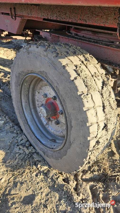 Przyczepa Pronar t653 trzystronny Trzebisławki