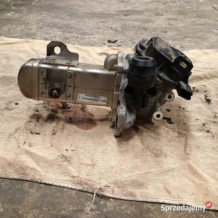 Ford Peugeot Citroen V29004027 EGR Chlodnica Przepustnice wydechu lubelskie Bychawa