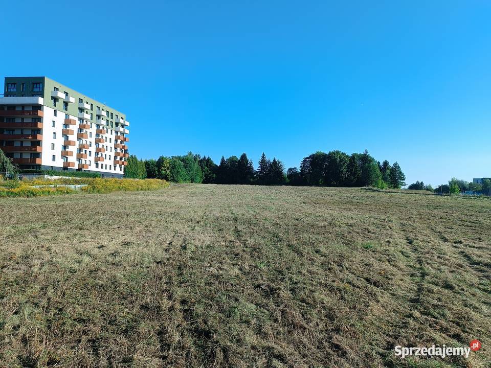 Mulczowanie terenu Mulczer POWIERZCHNIOWY Wolbrom