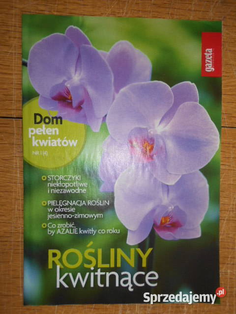 Dom pełen kwiatów Rośliny kwitnące 1 4