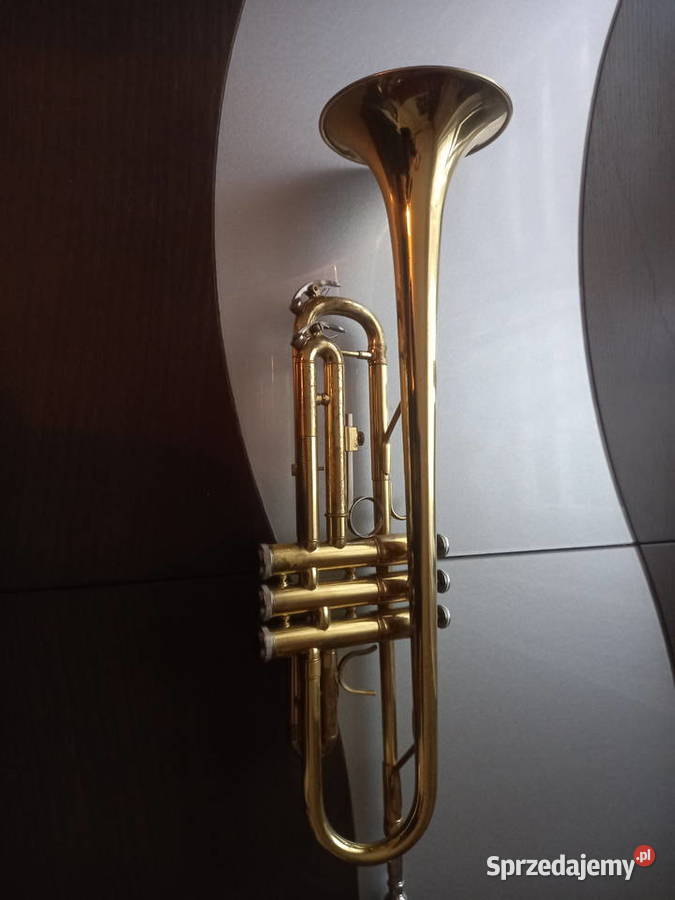 Sprzedam trąbce B małopolskie Czchów
