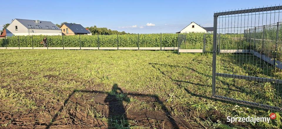 Mulczowaniekoszenie nieużytków działek Opalenica