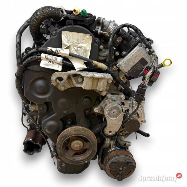 SILNIK KOMPLETNY G8DD Ford Focus II MK2 C C 16 Chełm