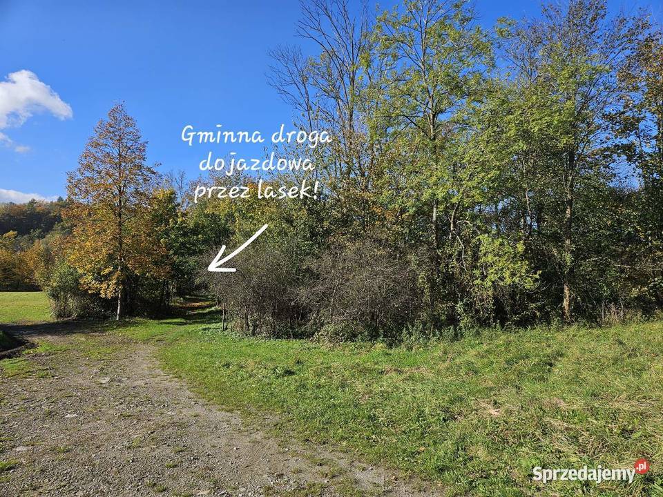 Działka w Sękowej Beskid Niski Działka na wsi na sprzedam