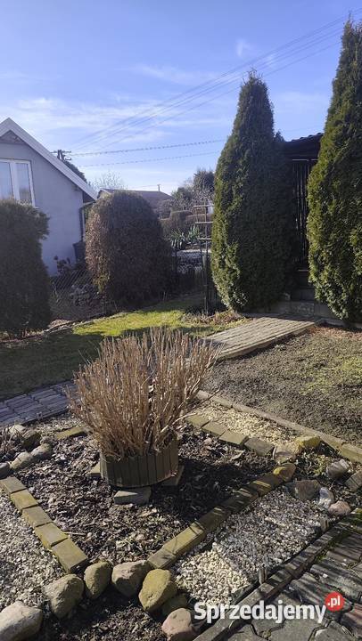 Działka ROD RELAX 300m2 Sprzedaż Świecie sprzedam